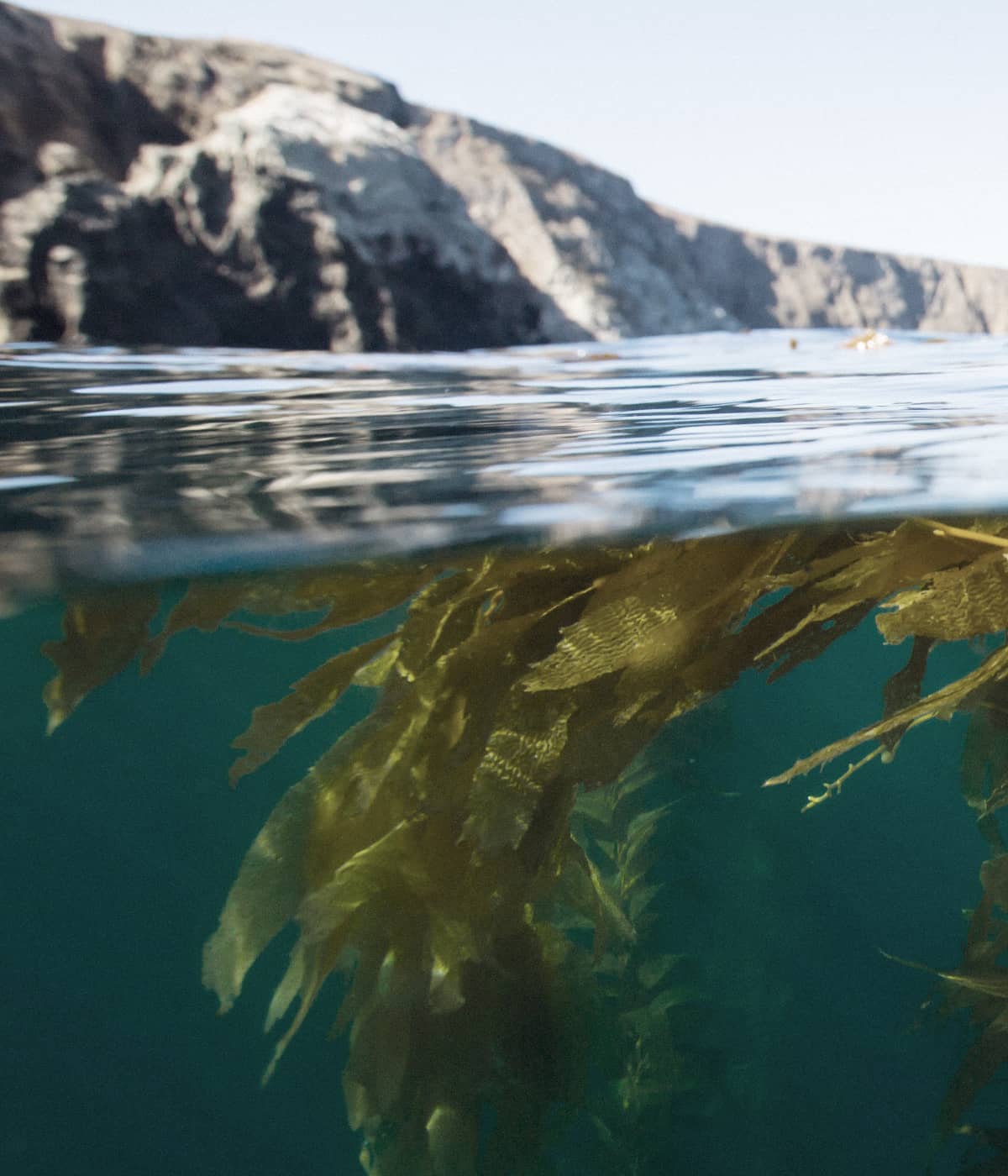 Natürliche Performance TENCEL™ und SEACELL