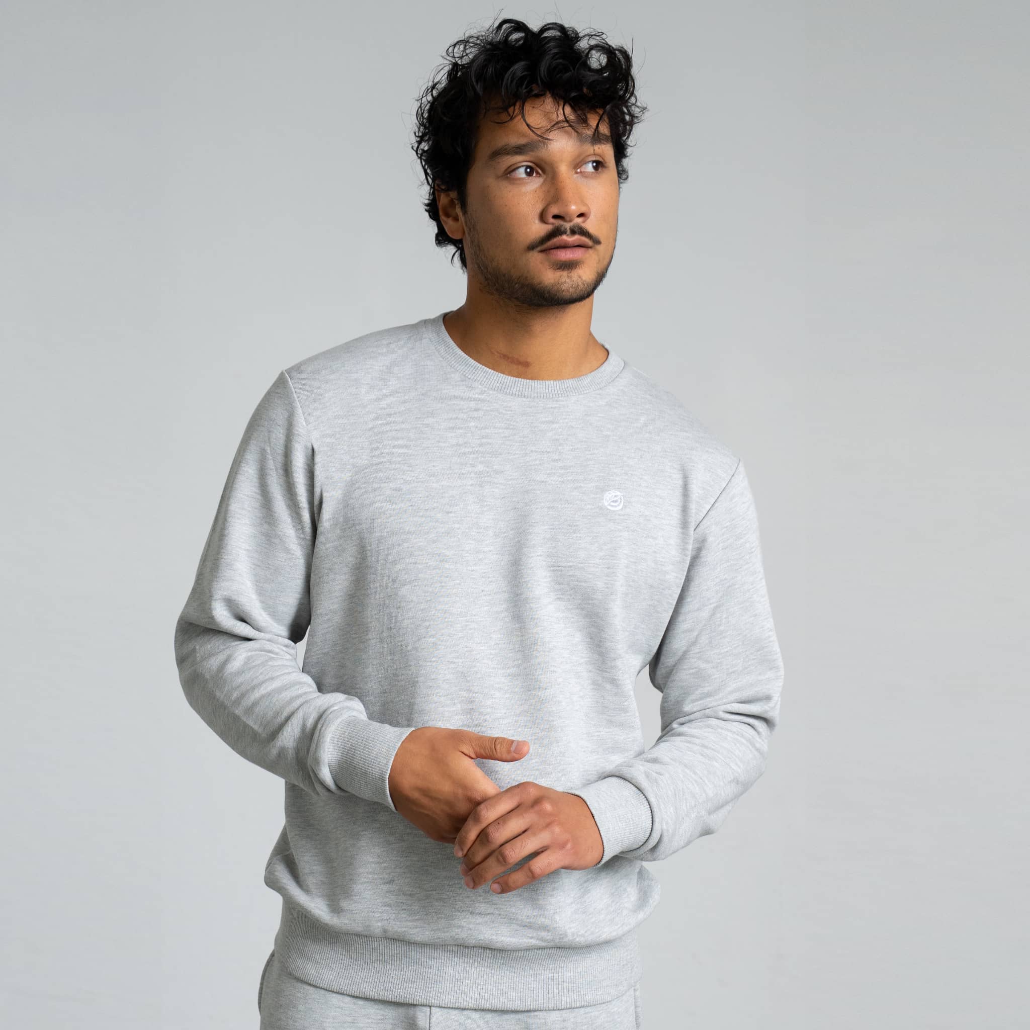 RECORD I Natural Crewneck Sweater - grau-meliert